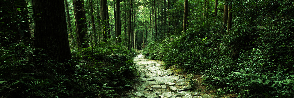 熊野古道（世界遺産）